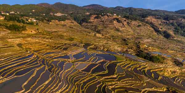 Magical rice fields in Yuanyang