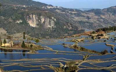 Yuangyang rice fields