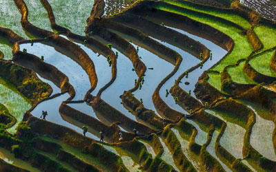 Yuanyang rice terraces - Yunnan Province, China